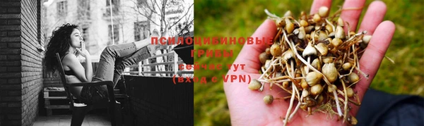 2c-b Богородицк