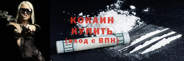 дмт Богородск