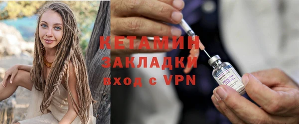 шишки Бородино