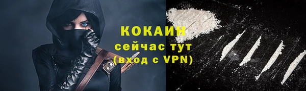 2c-b Богородицк