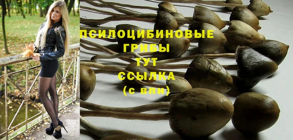 эйфоретик Бронницы