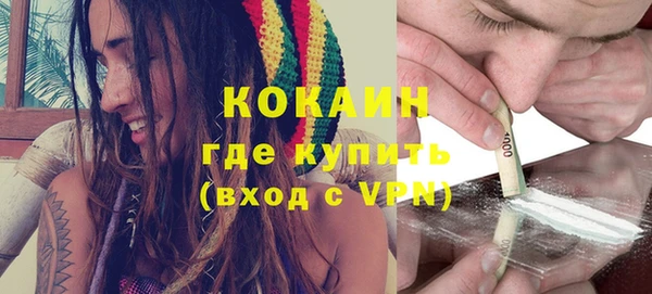 шишки Бородино