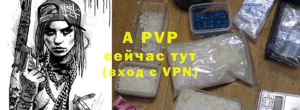 2c-b Богородицк
