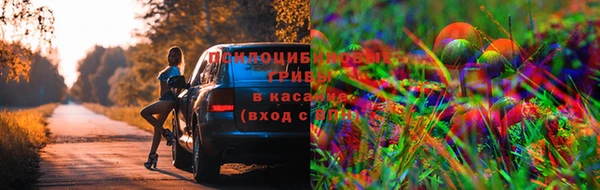 эйфоретик Бронницы