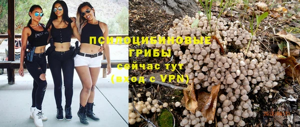 наркотики Богданович